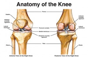 knee injury case 