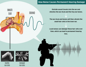 Infographic explaining loud noises and hearing loss